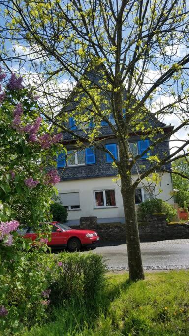Ferienwohnung Alte-Schule-Kail Wohnung 2 Esterno foto