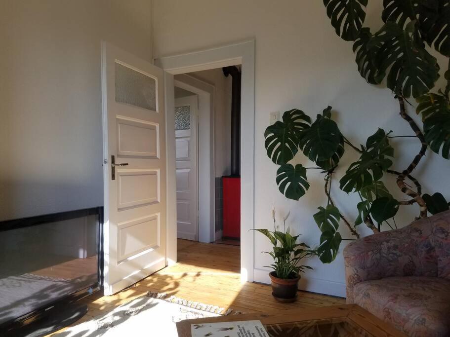Ferienwohnung Alte-Schule-Kail Wohnung 2 Esterno foto