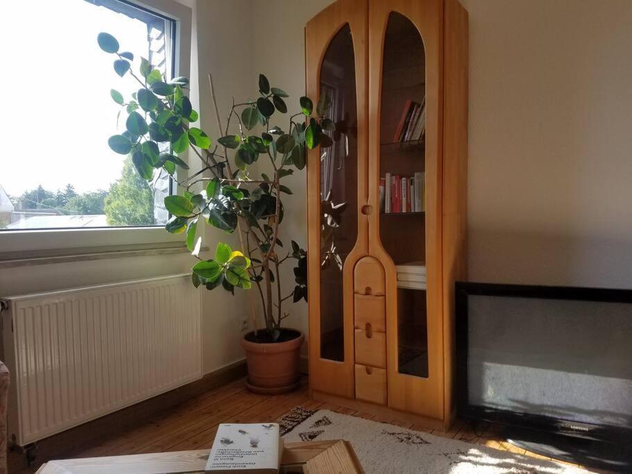 Ferienwohnung Alte-Schule-Kail Wohnung 2 Esterno foto