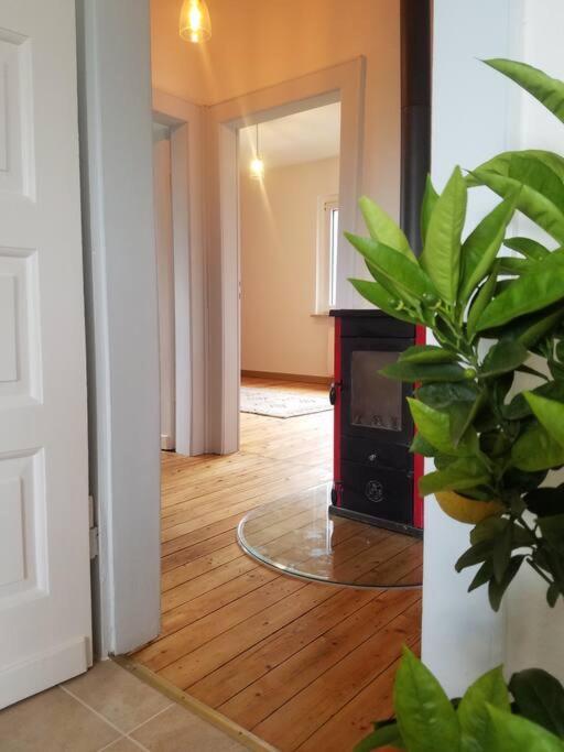 Ferienwohnung Alte-Schule-Kail Wohnung 2 Esterno foto