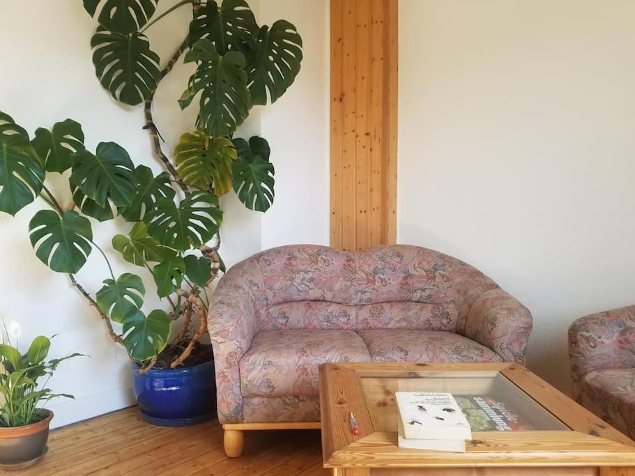 Ferienwohnung Alte-Schule-Kail Wohnung 2 Esterno foto